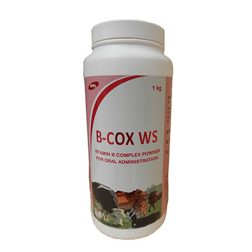 B-COX WS B-COX WS